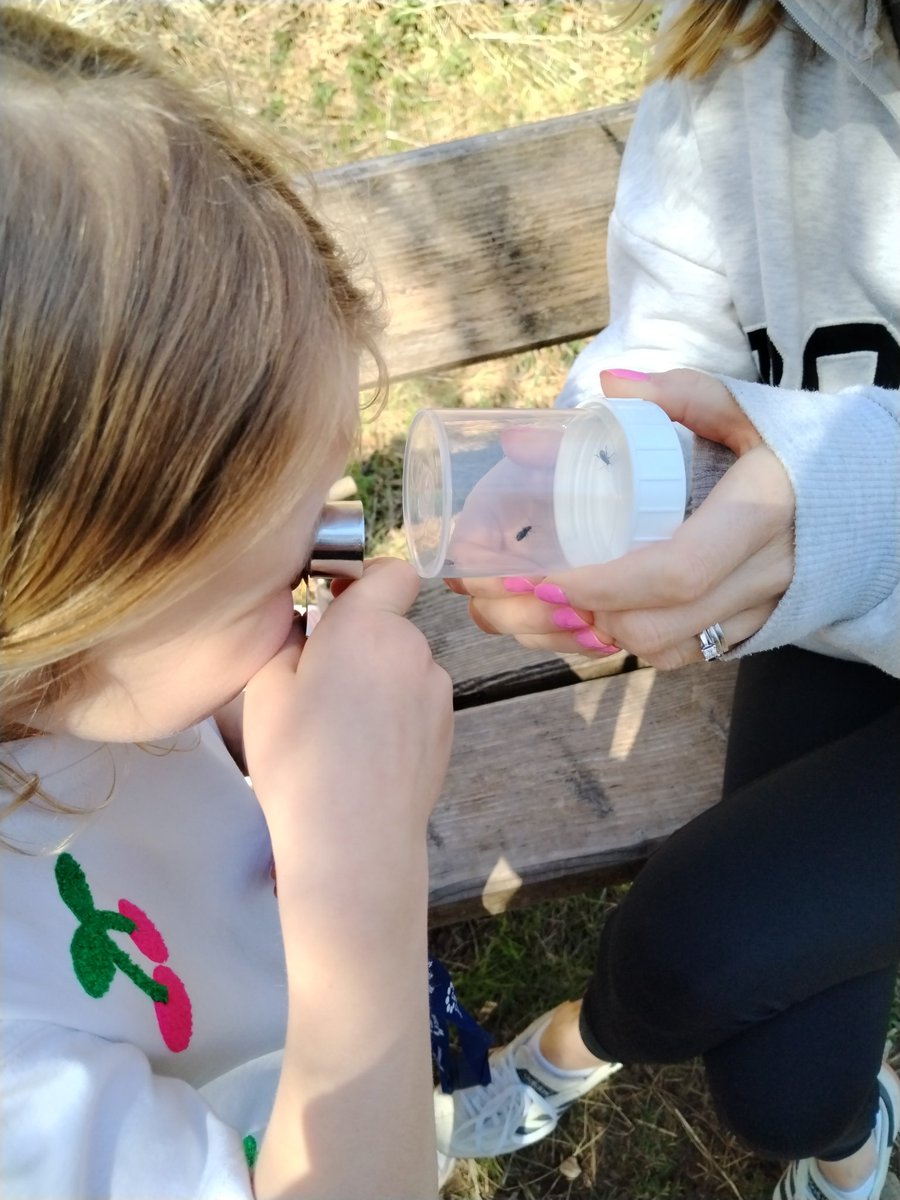 AilinKee's tweet photo. As part of an initiative to raise the awareness of the importance of invertebrates to our natural world, bug hunt will be part of sessions targeted at little ones @forestholidays. This is our first one at @forestholidays Garwnant. #ForestFeeling #invertebratesmatter https://t.co/JwNx86xqG9