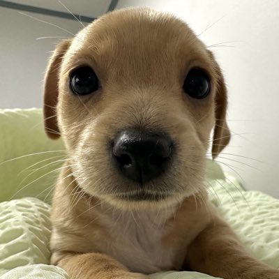 zNovaaa's tweet image. #NewProfilePic