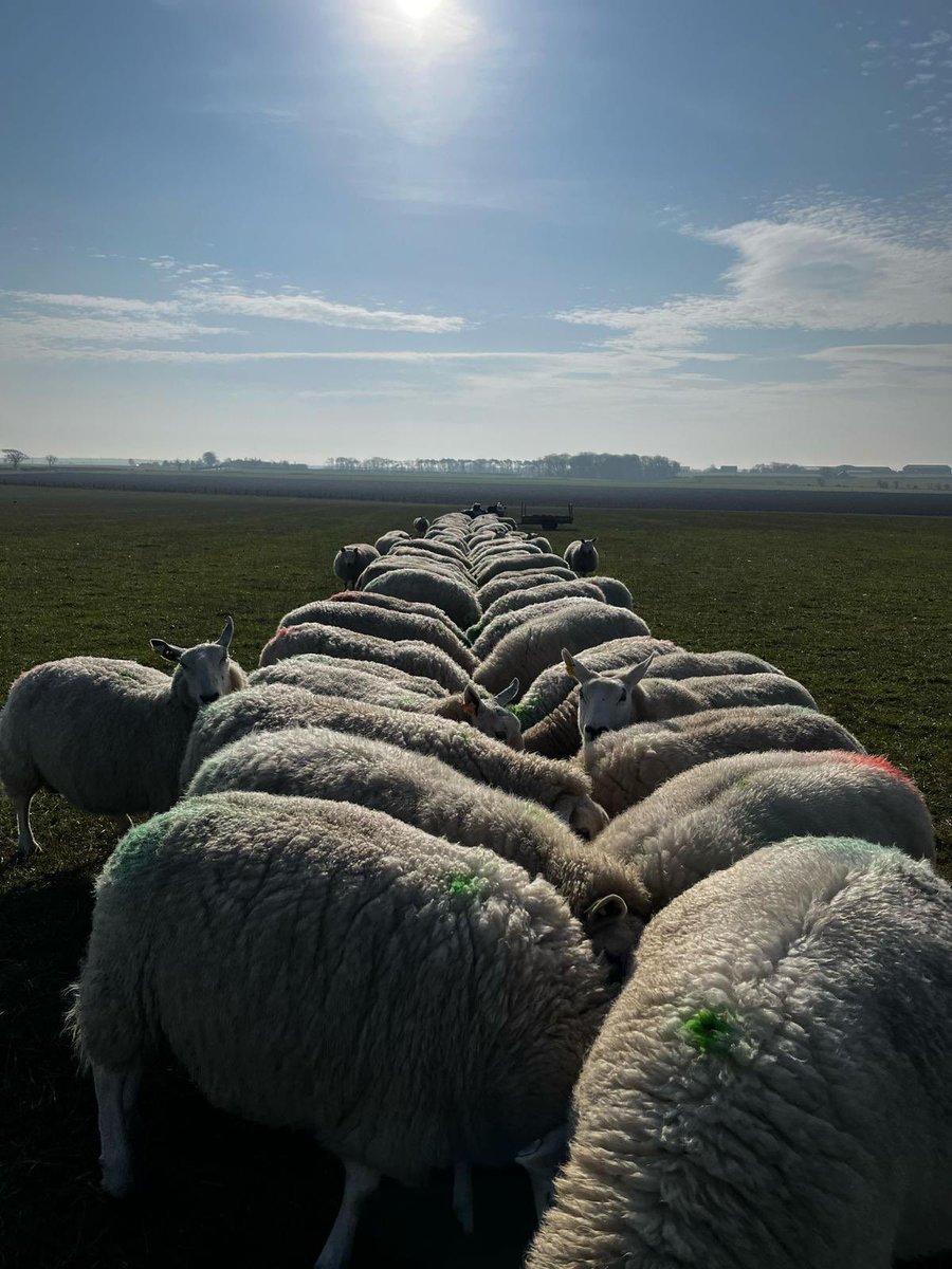 Balmonth Farm tweet media