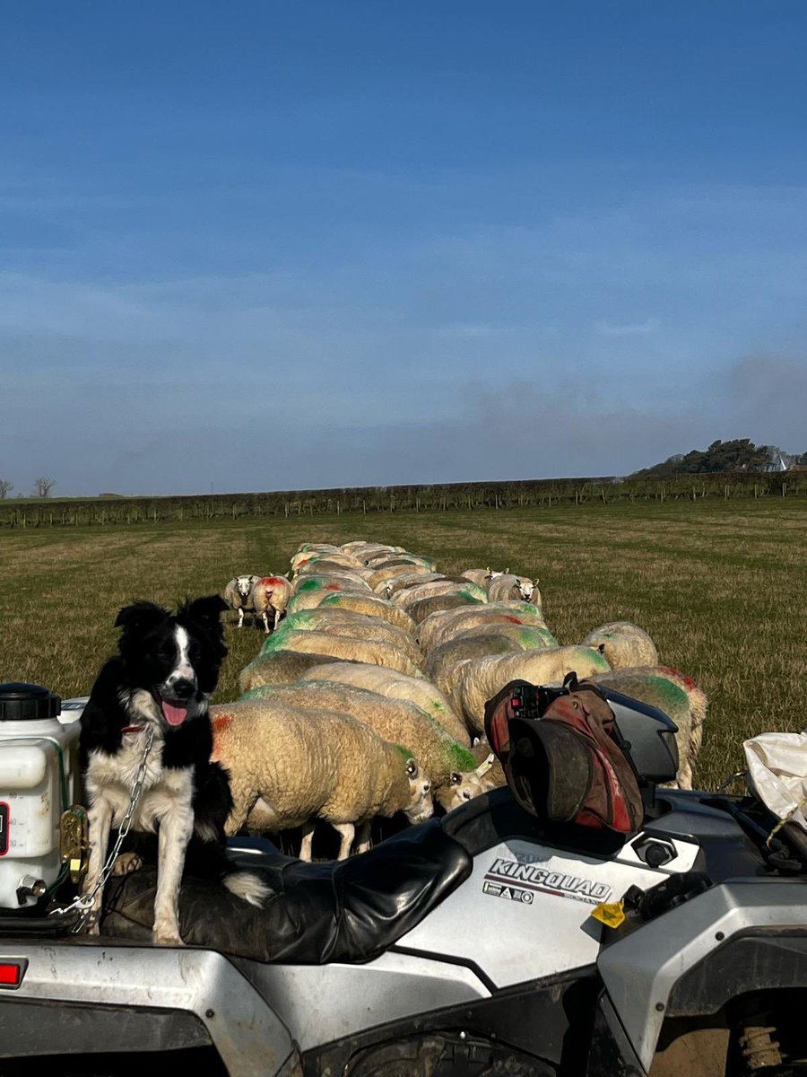 Balmonth Farm tweet media