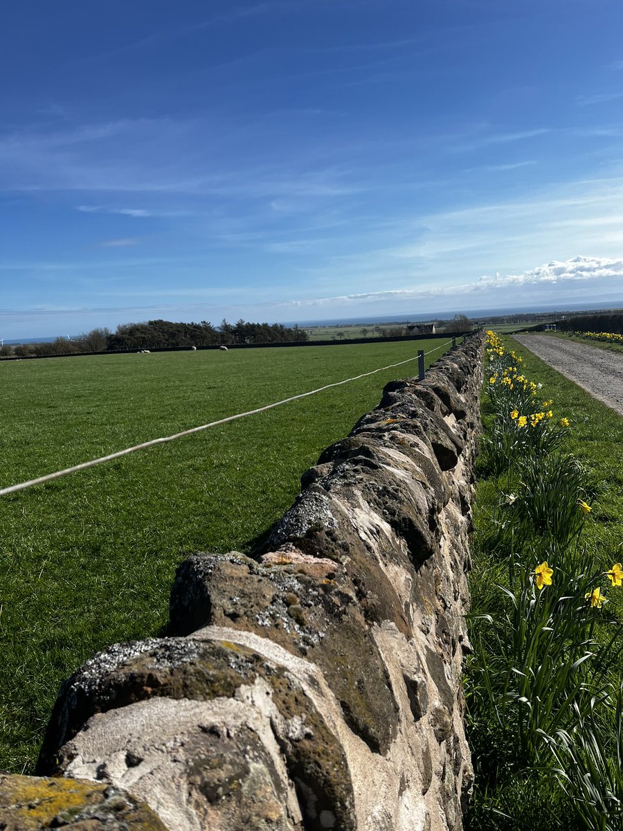 Balmonth Farm tweet media