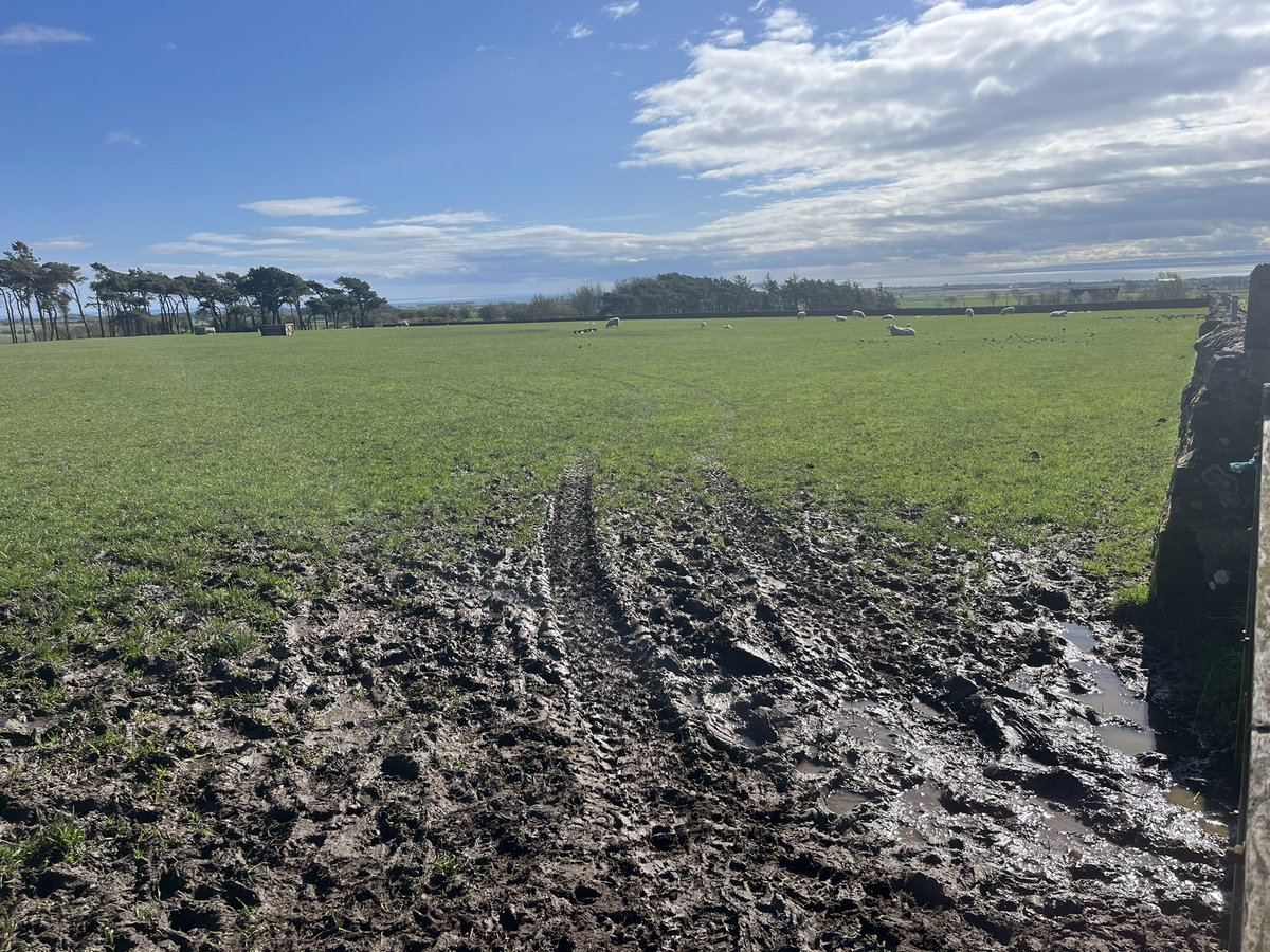 Balmonth Farm tweet media