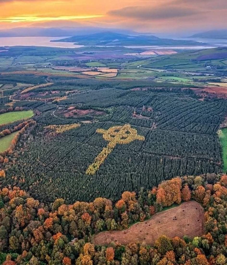 CatholicArena's tweet image. IRELAND
Before he died in 2010, Liam Emery planted this amazing Celtic Cross in Donegal
By 2016, the amazing display had become visible from above