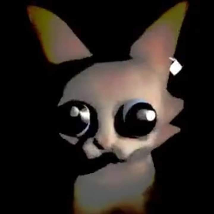 Gustavotic tweet media