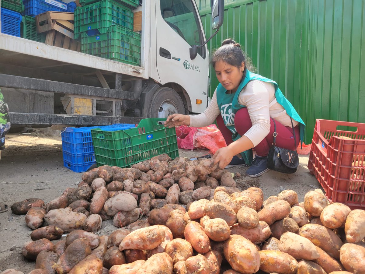 adraperu's tweet photo. #RescateDeAlimentos | ¡Buenas noticias!
🌱🥕 Se rescataron 2,024 kg de alimentos en el mercado Plaza Unicachi de Villa El Salvador. Estas donaciones beneficiarán a las ollas comunes de San Juan de Miraflores y Villa María del Triunfo (zona de José Gálvez). https://t.co/Q92sH527n6