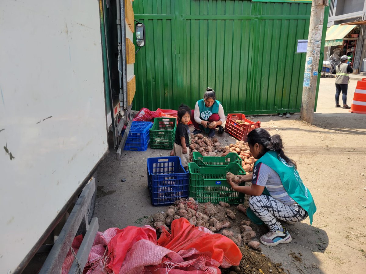 adraperu's tweet photo. #RescateDeAlimentos | ¡Buenas noticias!
🌱🥕 Se rescataron 2,024 kg de alimentos en el mercado Plaza Unicachi de Villa El Salvador. Estas donaciones beneficiarán a las ollas comunes de San Juan de Miraflores y Villa María del Triunfo (zona de José Gálvez). https://t.co/Q92sH527n6