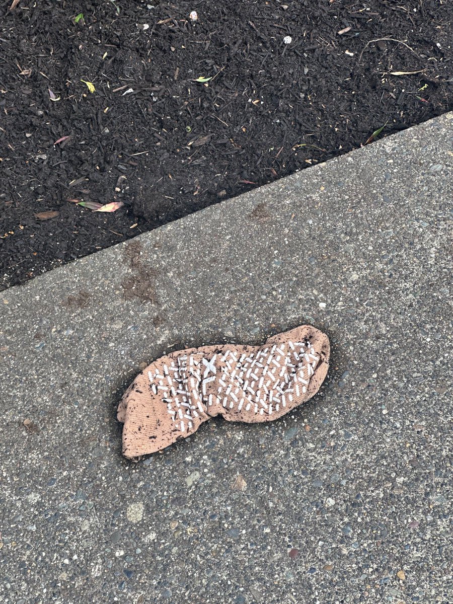 _morice_'s tweet photo. Somewhere in seattle a strung out Prince Charming is looking for the lovely lady who ran out of his tent at midnight, leaving only her rehab sock behind https://t.co/ZgL4Y4NMvA