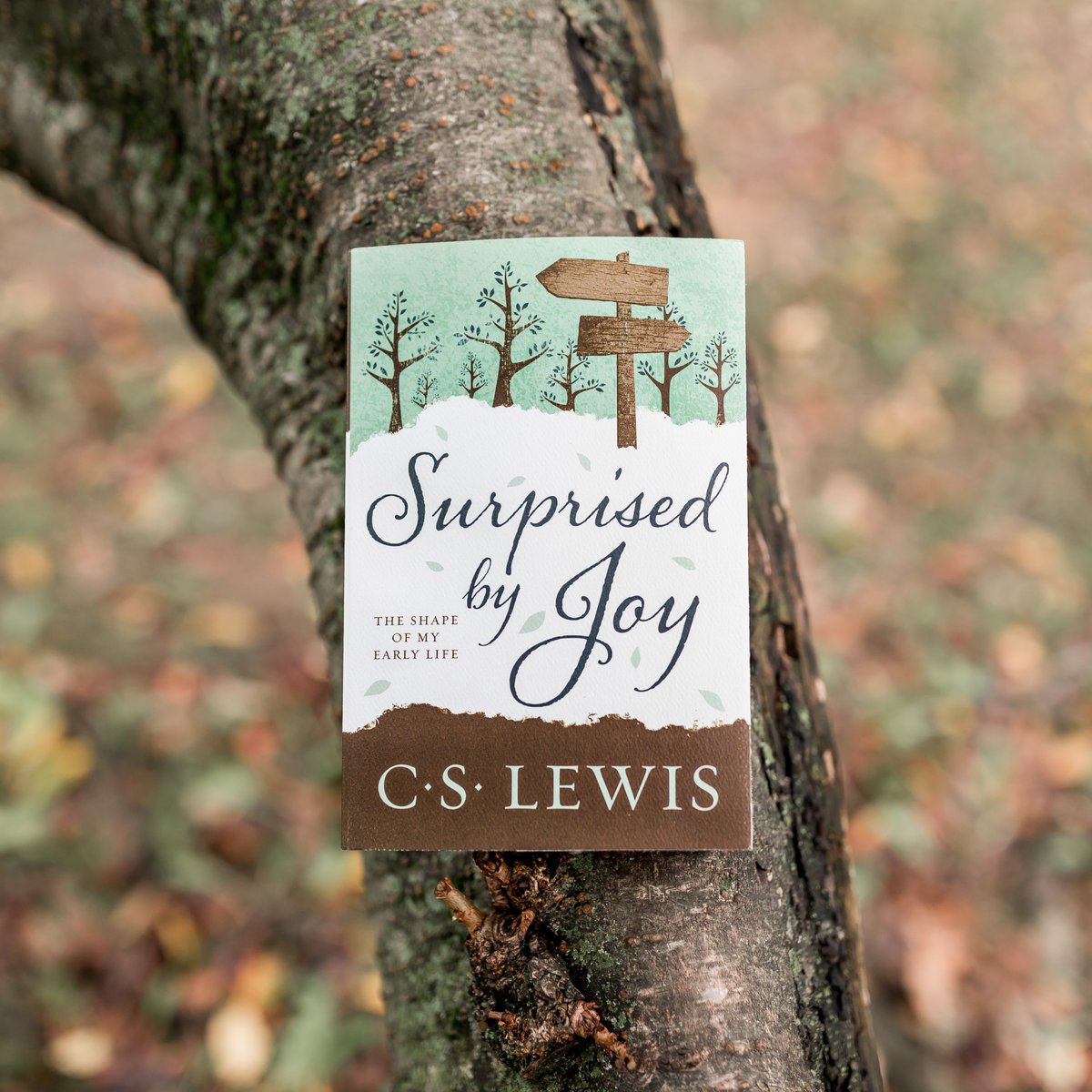 CSLewis's tweet image. C.S. Lewis's spiritual memoir Surprised by Joy recounts his faith journey—from growing up in Belfast to the trenches of WW1, and culminating in his conversion to Christianity. The twists and turns of his life will inspire all who long for true joy.