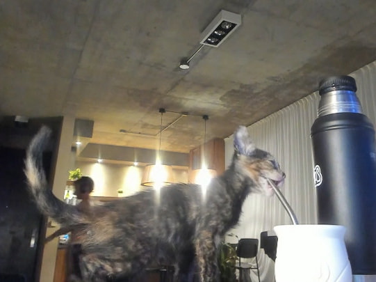 out of context grafo (@oocgrafo) on Twitter photo 