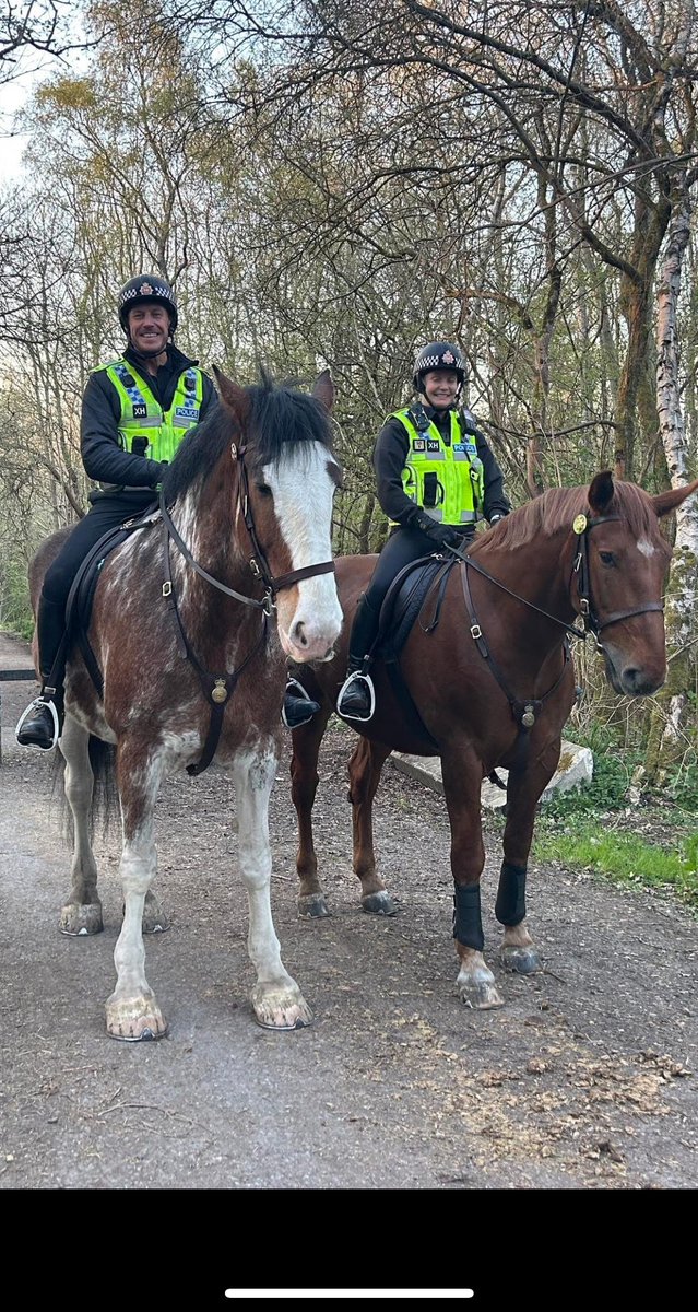 GMPHorses's tweet photo. Our lovely police horses have been patrolling Outwood country park in Radcliffe the past few days. We've met Izzy and her pony,I know they say that police officers are getting younger but the police horses are getting smaller to 🐴🌞#sunnyevenings#GMPmountedunit. https://t.co/8NkKZZFSUA