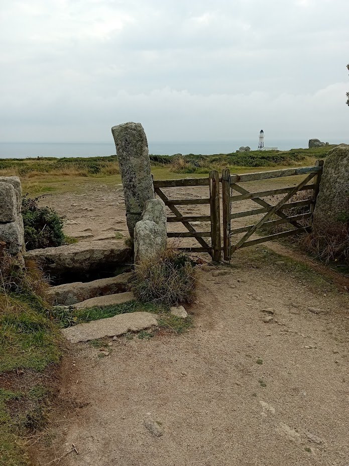 Alison Pailing tweet media