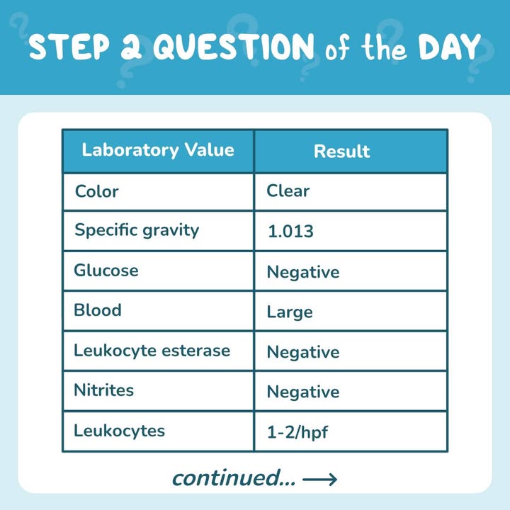 OsmosisMed's tweet photo. Today's #USMLE® Step 2 CK-style practice question revolves around a 68-year-old woman presenting to the ER for evaluation of acute onset left back pain &amp; #hematuria.

Answer &amp; explanation: https://t.co/ZqWSLw2j82
About the diagnosis: https://t.co/K5HUT8DmCV https://t.co/znDkK0c5LA
