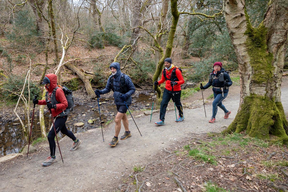 Curly Twig 💙 tweet media