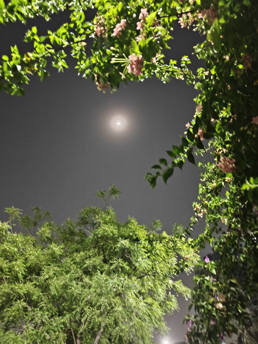 bronz_O_Genius's tweet image. Kisi ko pasand aana bahut aasaan hai ...

Magar zindagi bhar pasand bane rehna mushkil hai..!😊
#moon 🌙 
#mobilepic 🤳 
#goodnight 😌