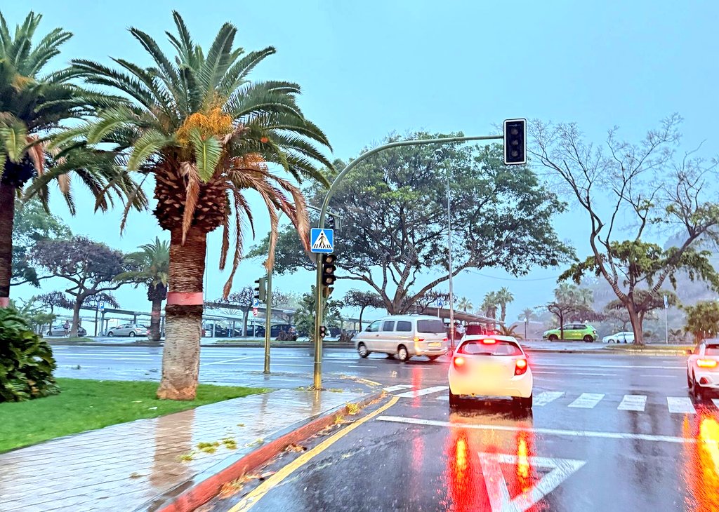 CECOPAL SC Tenerife (@cecopalsc) on Twitter photo BALANCE: Desde la declaración de #AlertaLluvias por parte #DGE <a href="/territoriocan_/">Política Territorial, Cohesión Territorial y Aguas</a> <a href="/AdmPcasGobcan/">Presidencia, Ad. Públicas, Justicia y Seguridad</a> <a href="/112canarias/">112 Canarias</a> en <a href="/santacruz_ayto/">Ayuntamiento de Santa Cruz de Tenerife</a> sólo se han registrado incidencias leves relacionadas con algunas alcantarillas y cortes de fluido eléctrico en instalaciones semafóricas. BALANCE: Desde la declaración de #AlertaLluvias por parte #DGE <a href="/territoriocan_/">Política Territorial, Cohesión Territorial y Aguas</a> <a href="/AdmPcasGobcan/">Presidencia, Ad. Públicas, Justicia y Seguridad</a> <a href="/112canarias/">112 Canarias</a> en <a href="/santacruz_ayto/">Ayuntamiento de Santa Cruz de Tenerife</a> sólo se han registrado incidencias leves relacionadas con algunas alcantarillas y cortes de fluido eléctrico en instalaciones semafóricas.