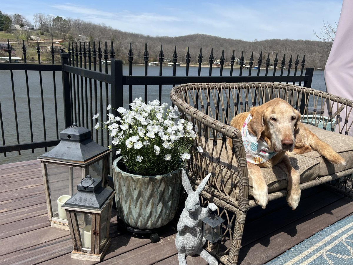 Arći (In memory of AZLAN🌈) tweet media