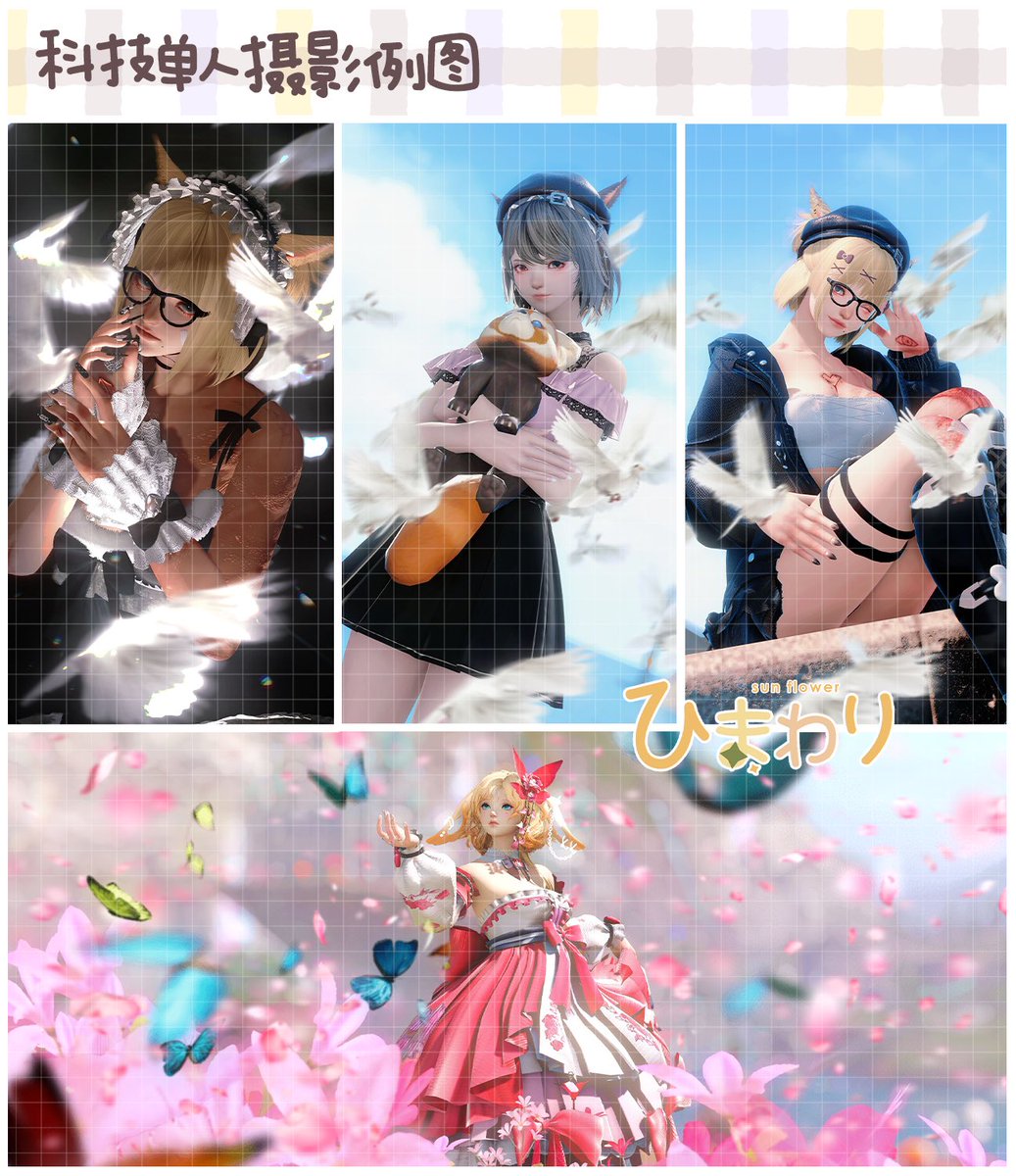 向日葵 tweet media