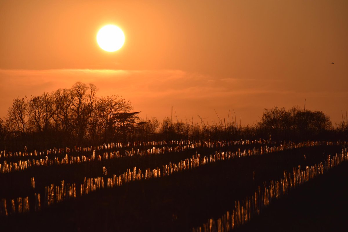 Cosgrovepark's tweet image. Stunning sunset over our new field, captured by M.Parker...😍

#CosgrovePark #InsideCosgrovePark #LivingTheDream #HappyPlace #HolidayPark #Relaxation #HolidayHomes #TouringCaravans #OverNightTouring #Nature #Caravan #Sunshine #FamilyTime #MakingMemories #DogFriendlyHolidays