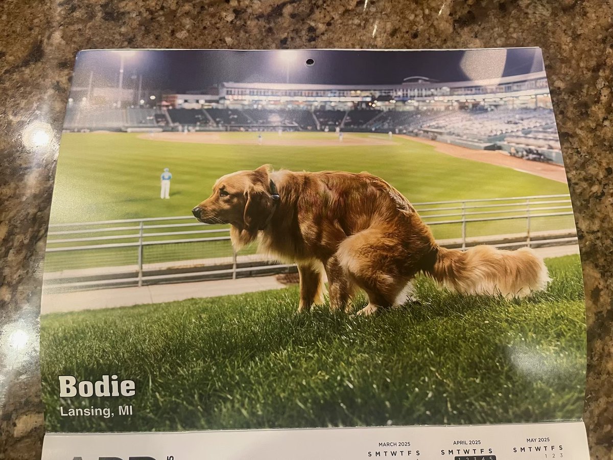 LansingLugnuts's tweet photo. Media Alert 🚨🚨🚨

We've recently discovered that the beautiful Jackson® Field™ is featured in the 2025 Pooping Pooches Calendar 🐶💩

Internet, do your thing... #OperationFindBodie https://t.co/8l35k6d9U7