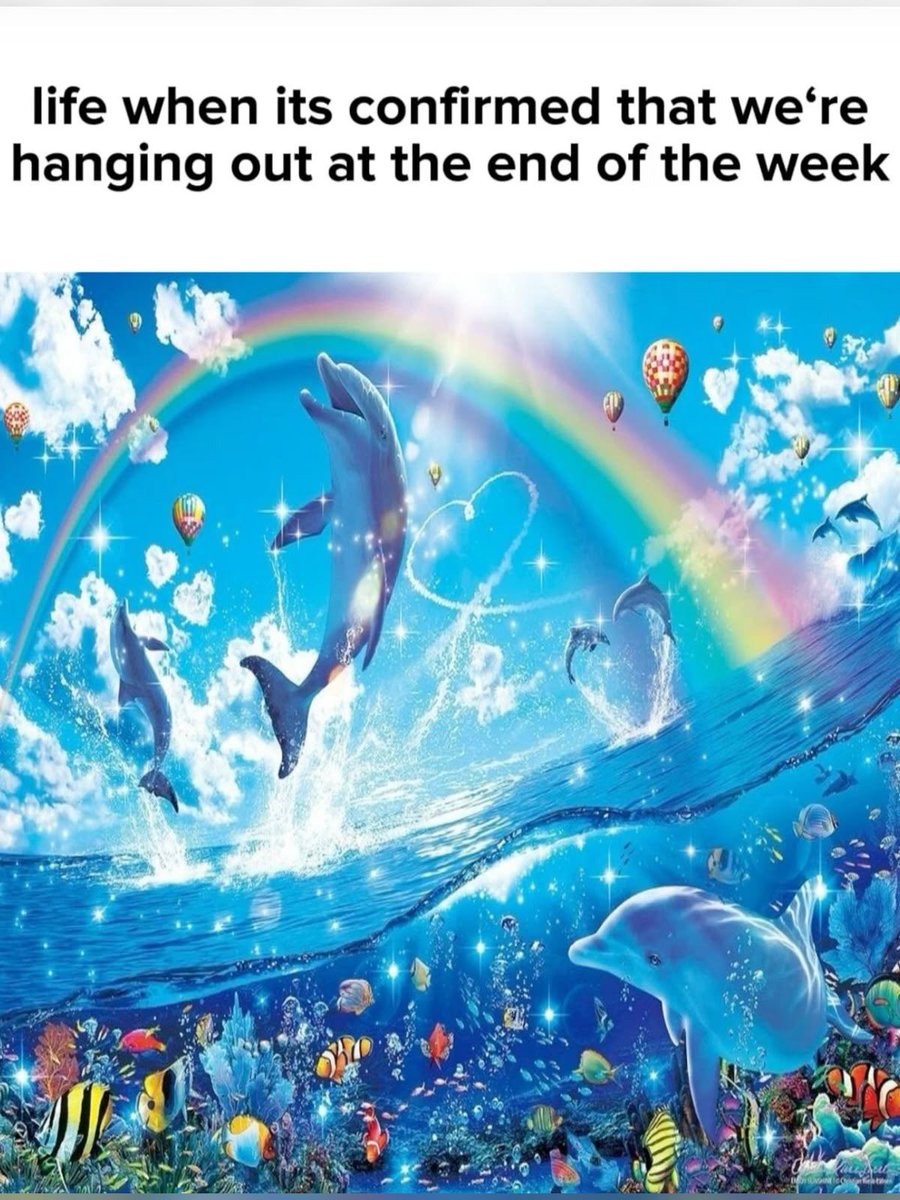 whotfisjovana's tweet image. ㅤ