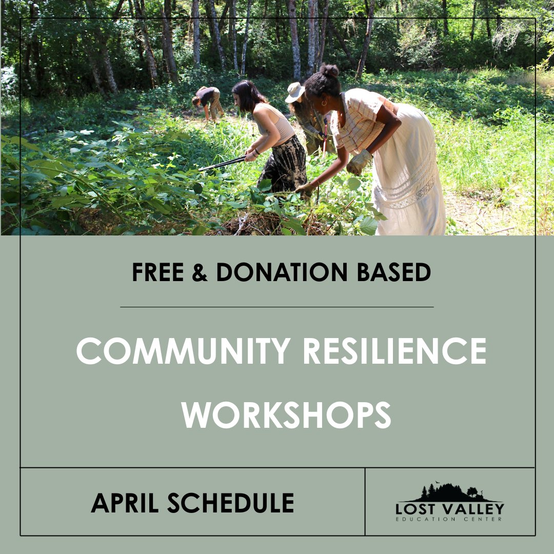 LostValleyORG's tweet photo. Join us this month for our free Community Resilience Workshop Series!

Learn about:
🧶 Animal Fiber &amp; Handspinning
🌲 Resprout Forestry
🥕 Permaculture Gardening
🍐 Wet/Dry Orchard Management
🍅 No-Till Farming
🌱 Decolonizing Permaculture
💡 Working with Solar Batteries https://t.co/mVCuWy1Fyr