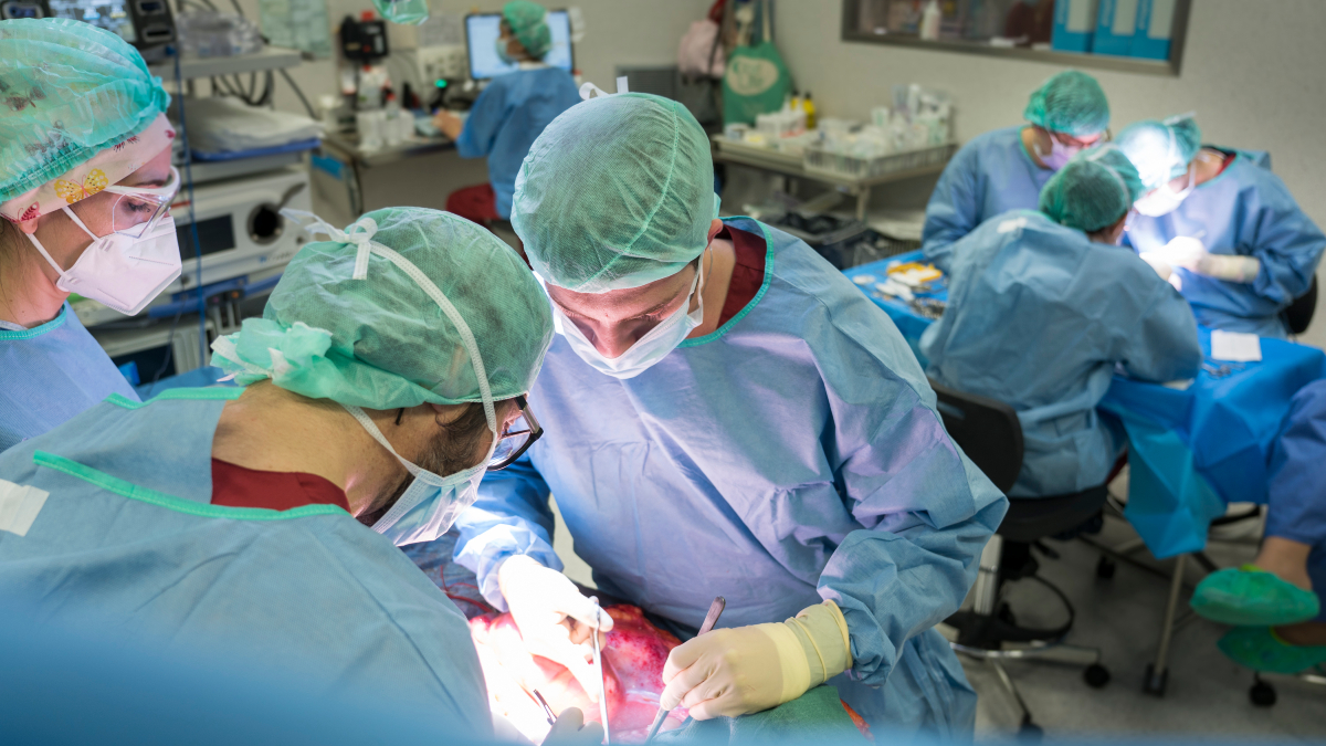 🏥 L’activitat trasplantadora d’aquest passat mes de març a l’HUB ha registrat una forta embranzida que referma l’expertesa i el compromís dels professionals del centre:

🔸25 trasplantaments renals
🔸9 hepàtics
🔸4 cardíacs 
🔸 28 donants de teixits 

🌟Assolir aquests 38