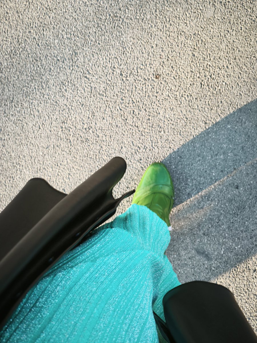 🏳️🌈 eveline wandl-vogt tweet media