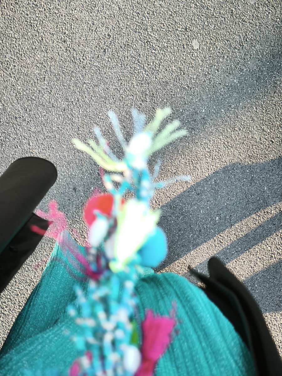 🏳️🌈 eveline wandl-vogt tweet media