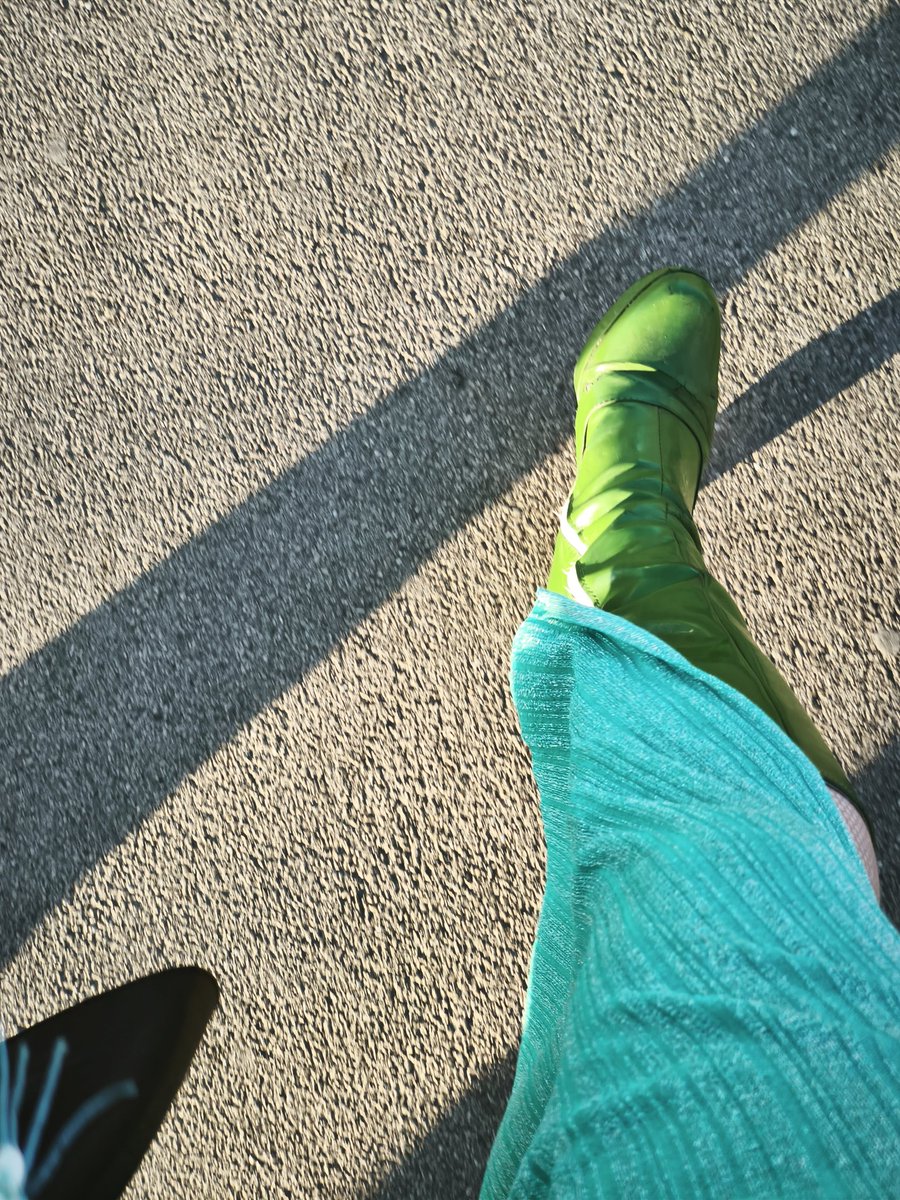 🏳️🌈 eveline wandl-vogt tweet media