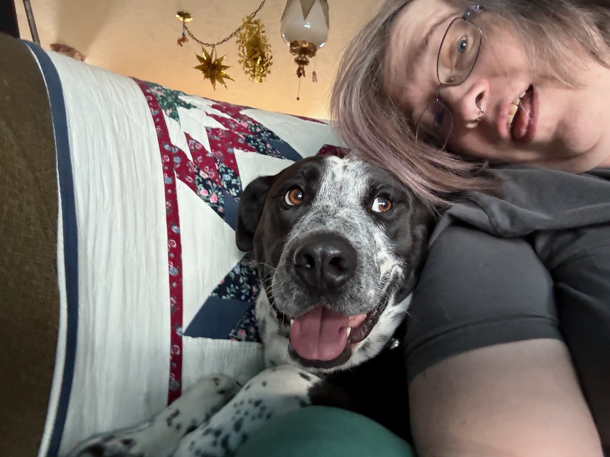 Denver Animal Shelter tweet media