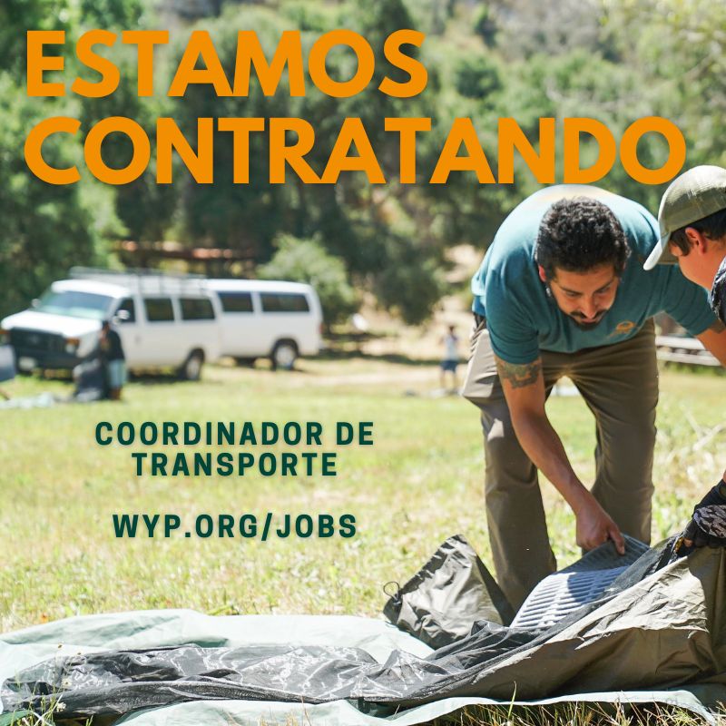 Open Position: Transportation Coordinator &amp; Driver for Summer Camps 2025 🚗 (June 9 - August 15, 2025). Read job description and apply at wyp.org/jobs. 
⁠⁠
#wildernessyouthproject #natureconnection #santabarbara #805 #jobs #jobsinsantabarbara #openposition #drivers