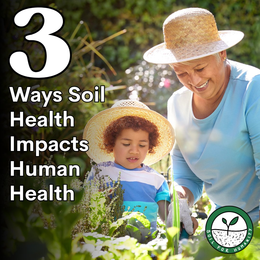 Soil for Humanity tweet media