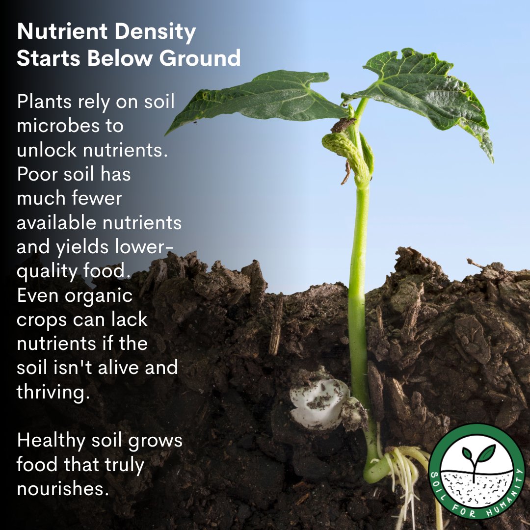 Soil for Humanity tweet media