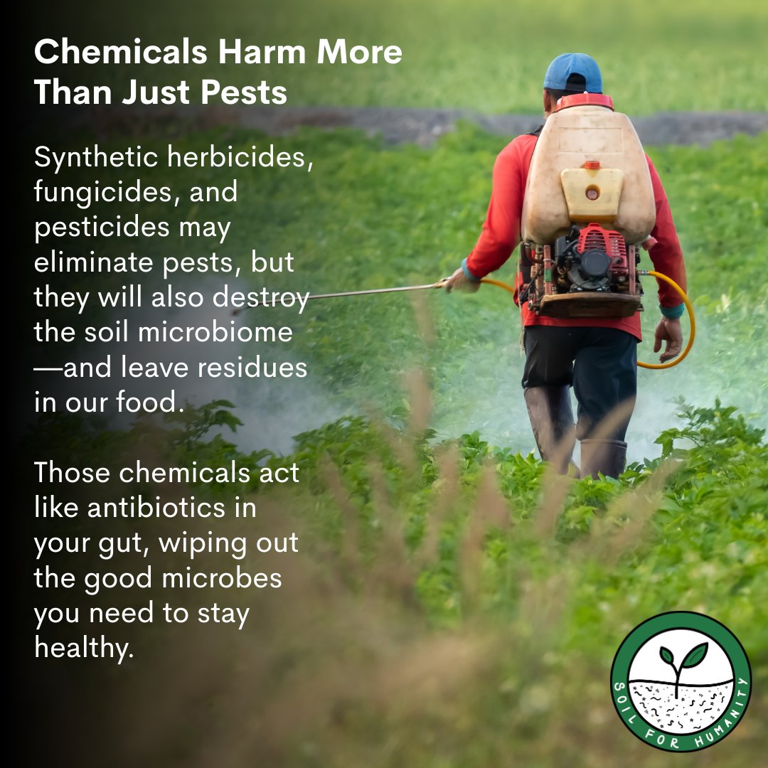 Soil for Humanity tweet media