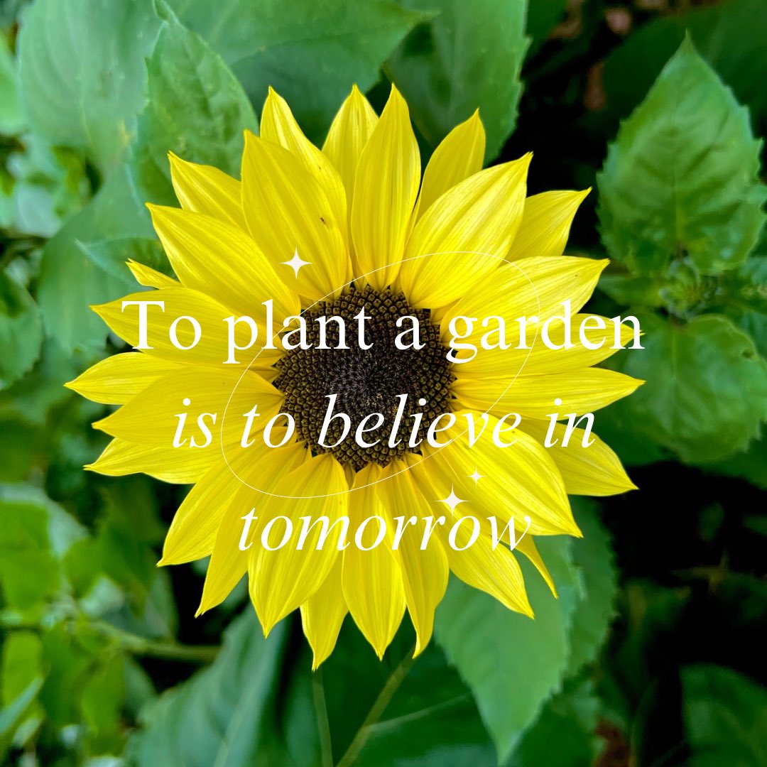 Emmyjanee27's tweet photo. What the flowers said ✨🌼🌻 https://t.co/IK7xdajvw8