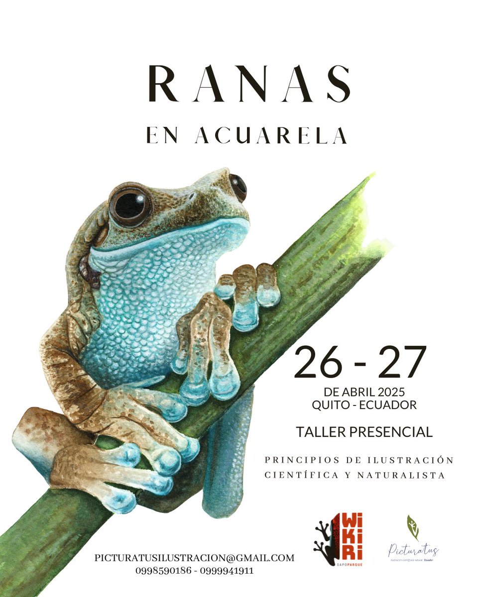 Noemí Cevallos tweet media