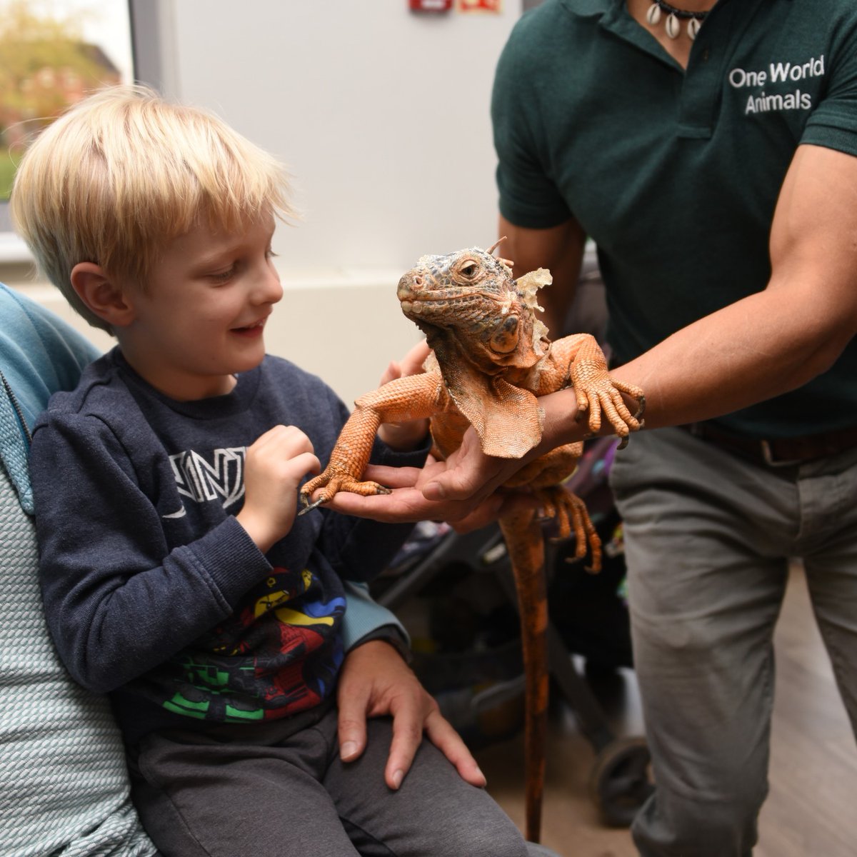 There’s plenty of Easter events to explore in our What’s On Guide. There's critters and lizards, goats galore, thrilling Formula One, the hilarious antics of Pinocchio, and a honeycomb festival, click on the link in our bio or pick up a copy locally.