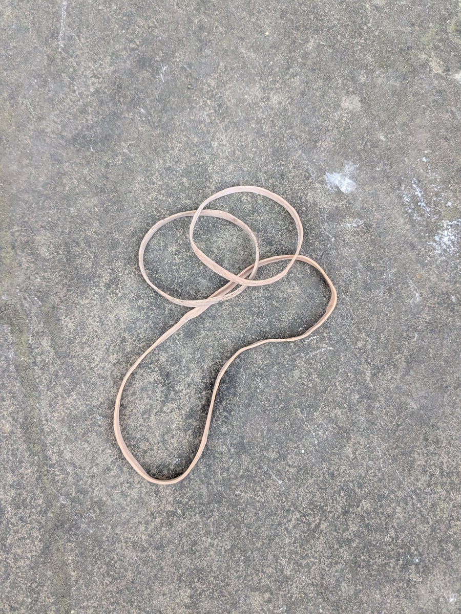 Nicholas W tweet media