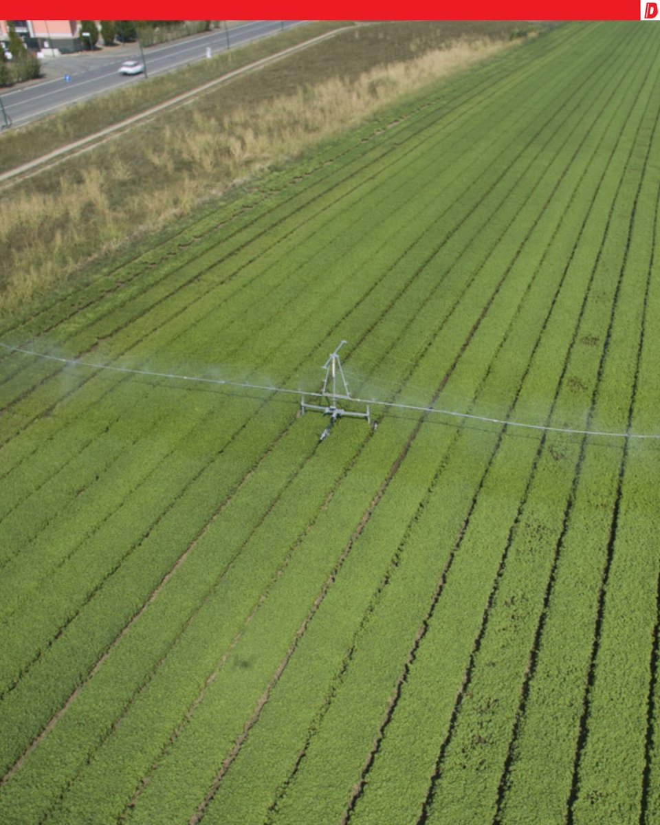 dabaloprema's tweet photo. 💧 Kad prirodna kiša nije dovoljna – dolazi tehnologija koja navodnjava s lakoćom. 💧

#Navodnjavanje #UštedaVode  #ZeleniTereni #Farme #Poljoprivreda https://t.co/k91Zq0dQZf