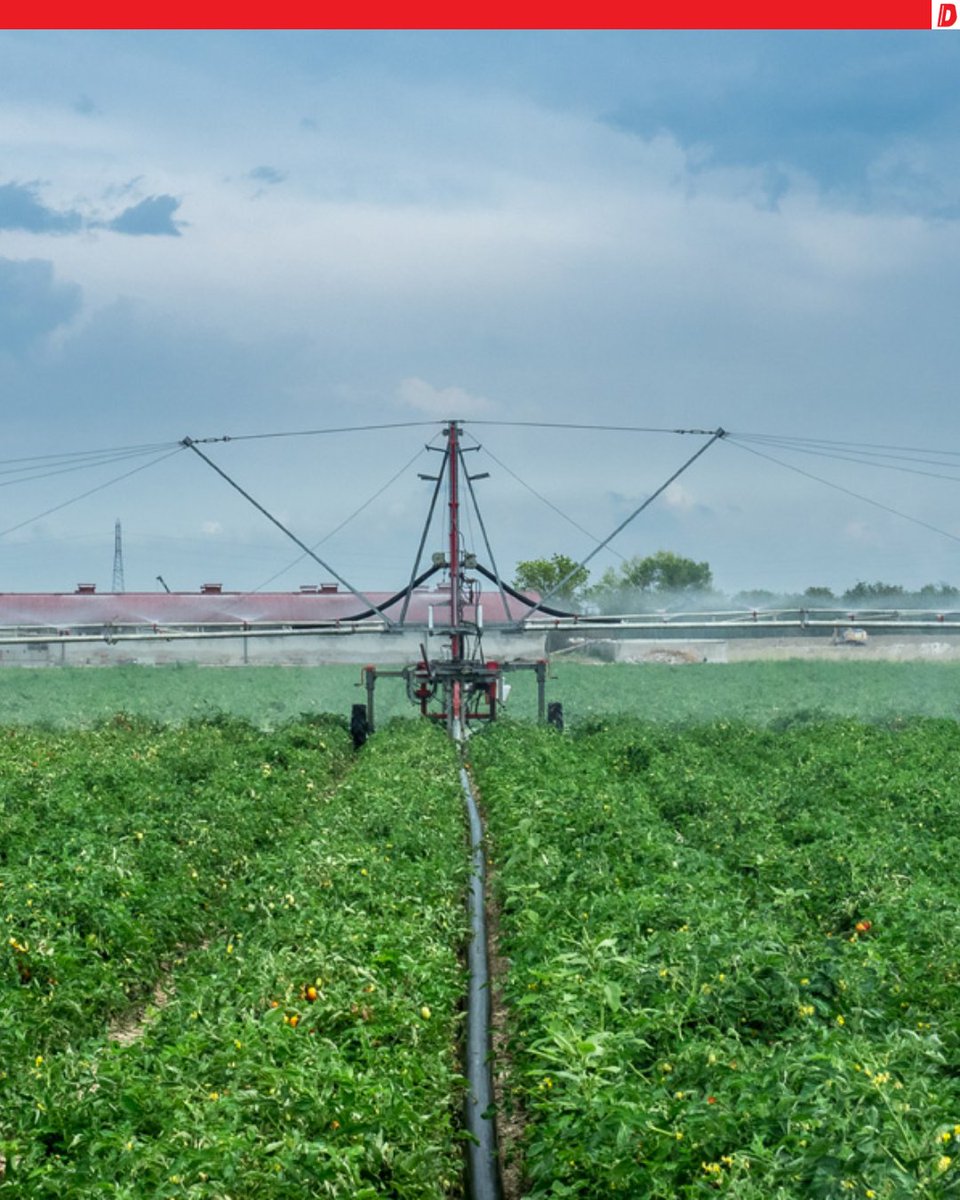 dabaloprema's tweet photo. 💧 Kad prirodna kiša nije dovoljna – dolazi tehnologija koja navodnjava s lakoćom. 💧

#Navodnjavanje #UštedaVode  #ZeleniTereni #Farme #Poljoprivreda https://t.co/k91Zq0dQZf