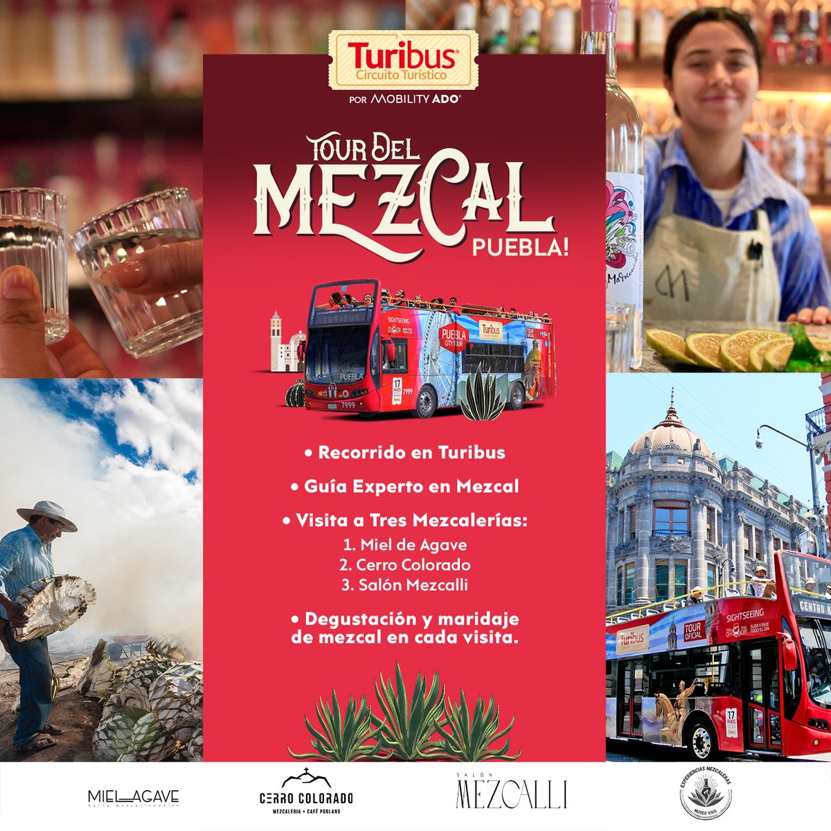 turibuscdmx's tweet photo. ¡El mezcal tiene una nueva ruta! 🌿Sube al Turibus y vive una experiencia sensorial con paradas en #SemanaSanta.  📷 Horario de inicio: 17:00 h. 📷 Sábado 📷 Duración Aproximada: 4 h  Compra tus boletos en punto de venta.  #Turimezcales ⏳ https://t.co/bwjBpSjFeX