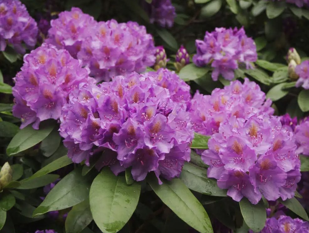 ATC Landscape tweet media