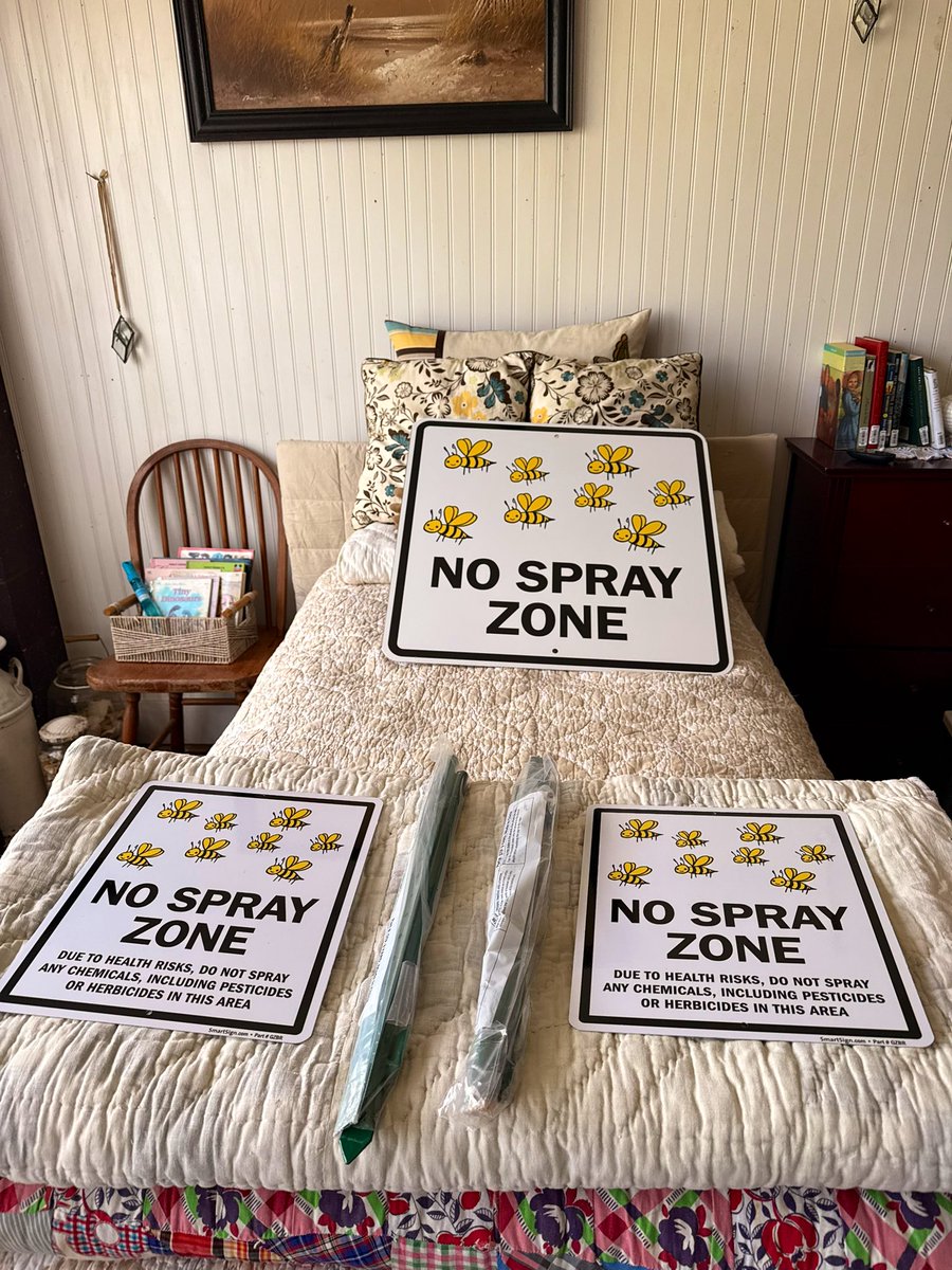 Little Cruber 𝕏 tweet media