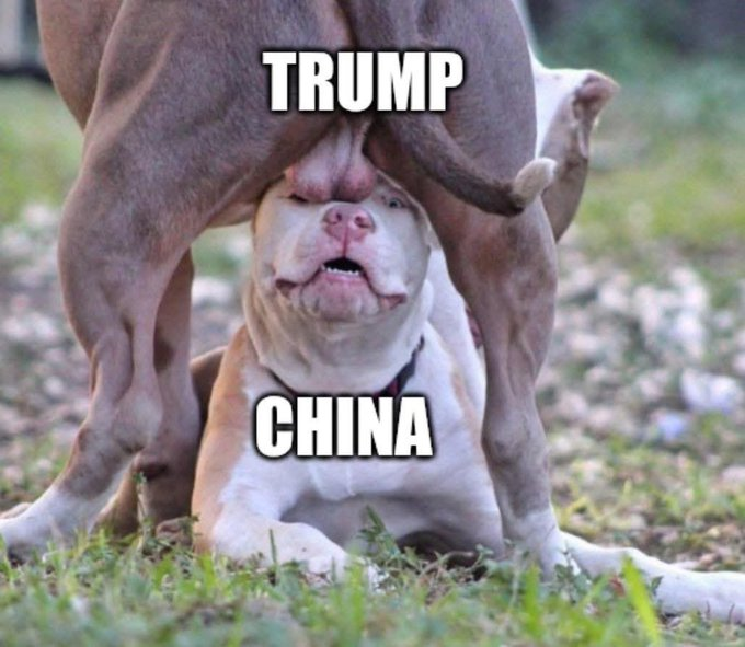 Gunther Eagleman™ tweet media