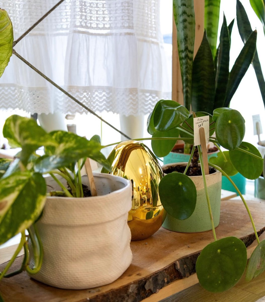 Shop the Streets &amp; The Great Downtown Guelph Golden Egg Hunt starts Monday! 🥚

Join us between April 14th - 19th in Downtown Guelph for discounts, treats and more. Keep an eye out for golden eggs along the way, snap a pic and tag us for a chance to win $100 Downtown Dollars🐣