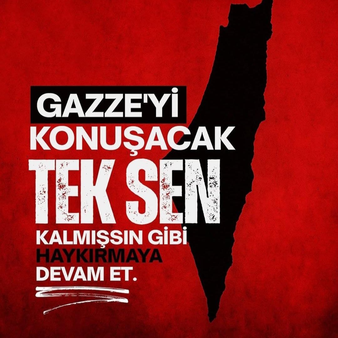 Bülent DOĞAN 🇹🇷 tweet media