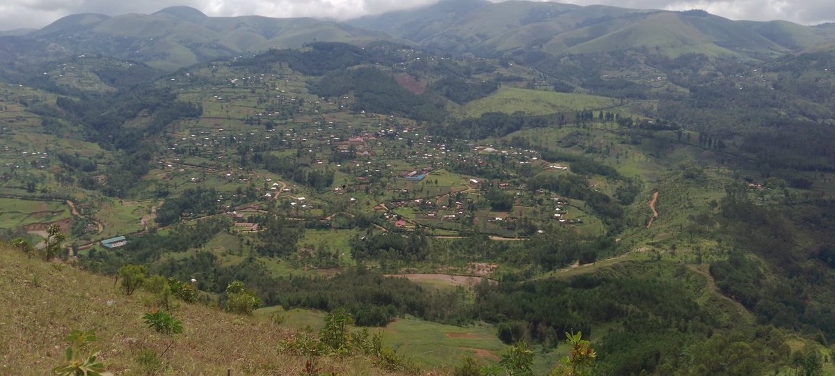 Wazalendos243's tweet photo. #Urgent 🛑🇨🇩

La localité de #Numbi dans le haut plateau de #kalehe vient de passer sous le contrôle de #WAZALENDO. https://t.co/ouIfyzjGf1