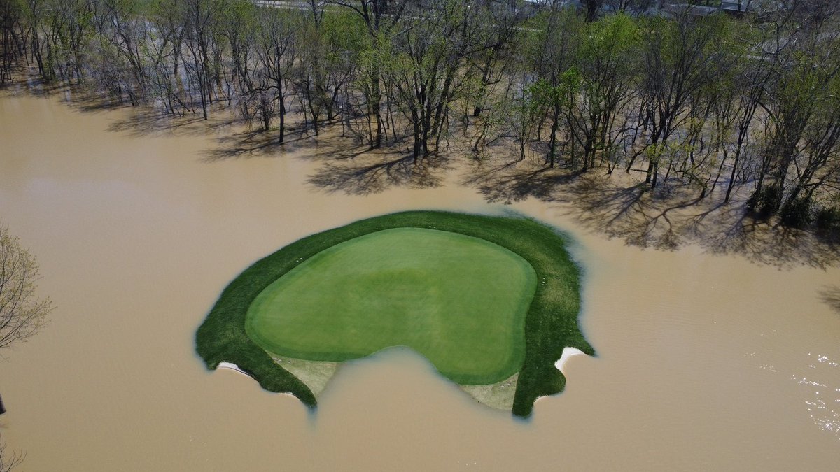 Beau Welling Design tweet media