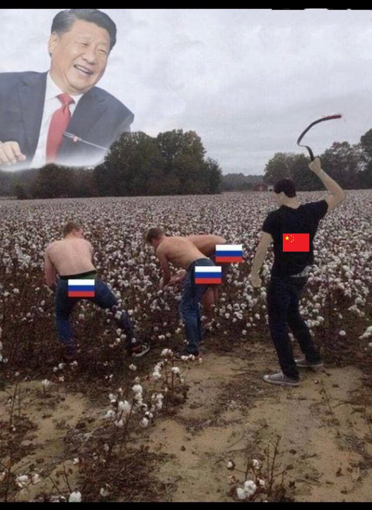 你最好乖乖舔好你🇨🇳爹的屁股，而不是在你爹忙着收拾别人的时候想着上桌吃饭