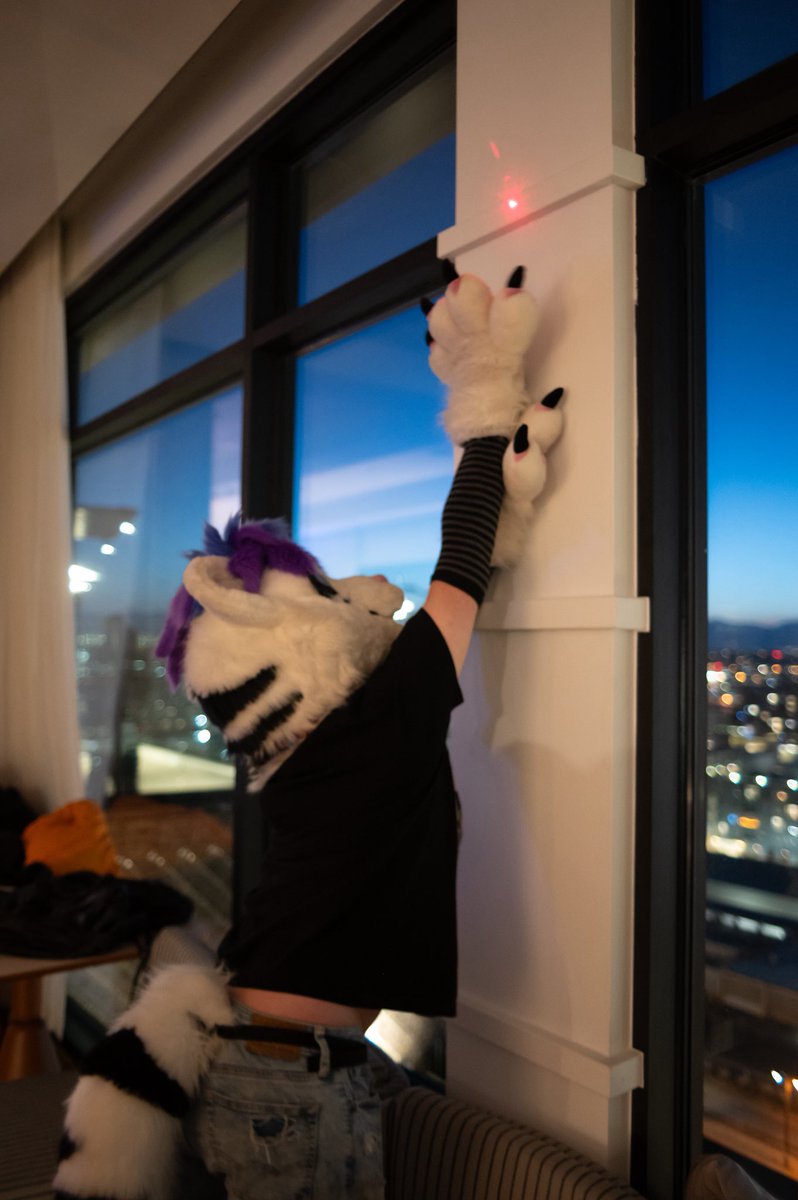 cat see dot.

cat must catch dot.